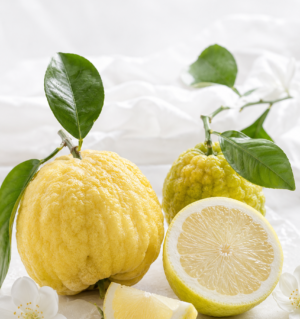 Bergamotto e Cedro